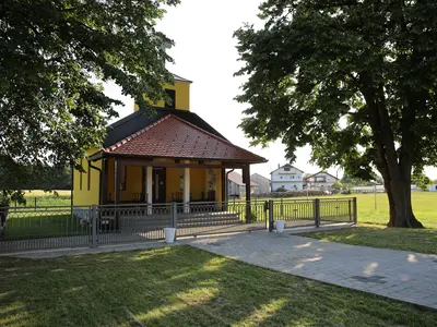 Dubovica