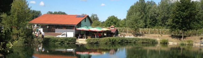 293023_346046015482827_1298370923_n